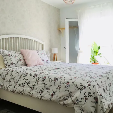 The Little White House, Flower 9 아파트 *