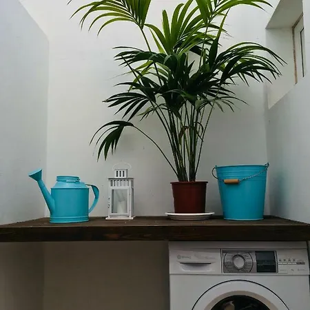 The Little White House, Flower 9 Apartamento