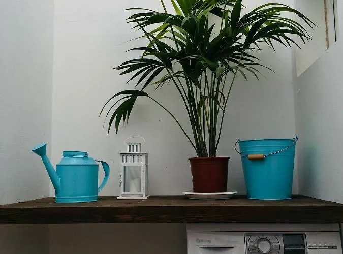 The Little White House, Flower 9 Apartmán