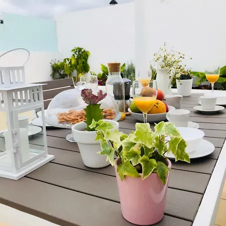 The Little White House, Flower 9 * 宏达海滩